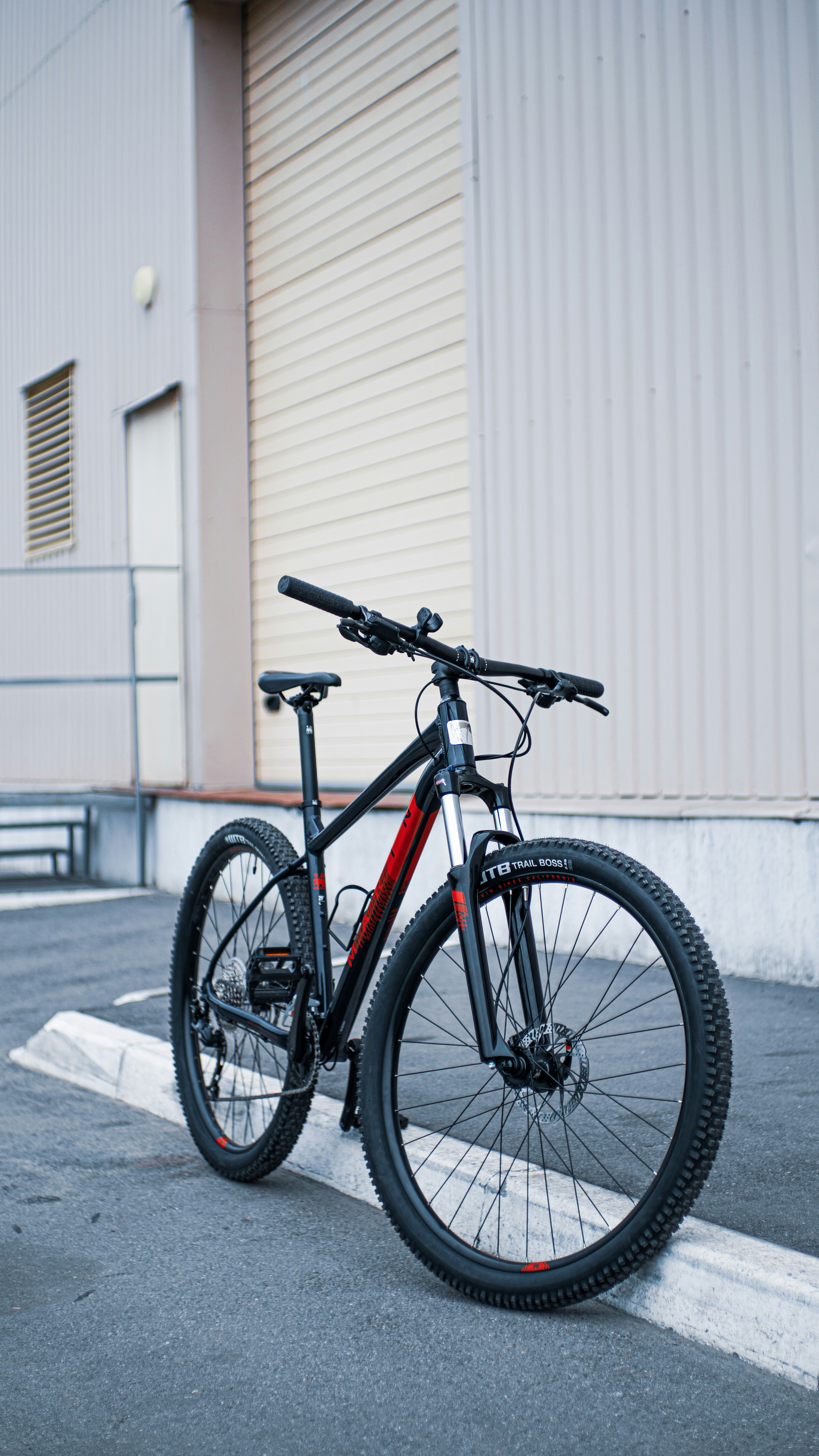 Mountain biker – sports & leisure advice with homie AI